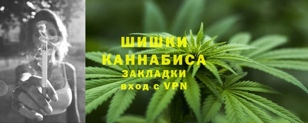 ПСИЛОЦИБИНОВЫЕ ГРИБЫ Ладушкин