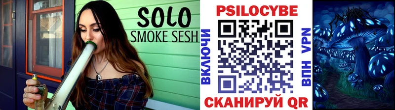 Псилоцибиновые грибы Psilocybe  OMG вход  Урус-Мартан 